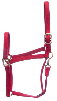 Nylon Draft Halter, large (2000-2400 lb)