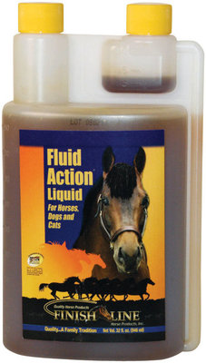 Fluid Action├ö├Â┬╝Ôö¼┬¢