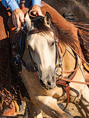 Basin Cowboy Tack Collection