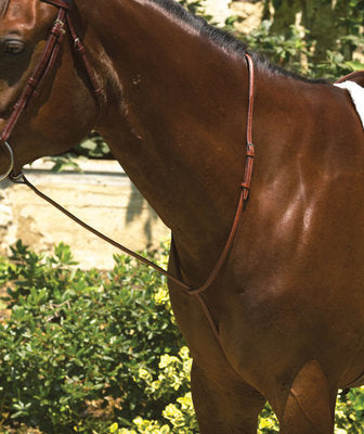 Perri&amp;#39;s Professional Raised Standing Martingale
