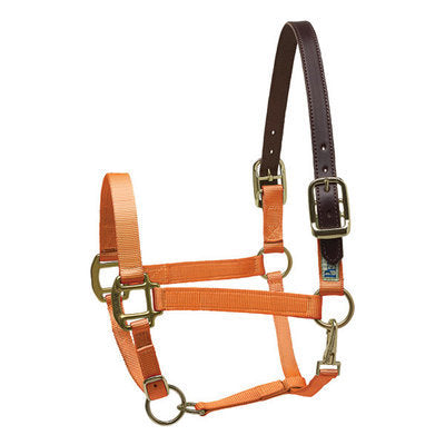 Perri&#39;s Breakaway Halter, Cob size