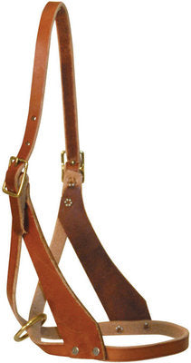 Riveted Figure 8 Foal Halter