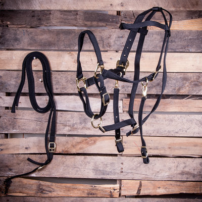 Jeffers Bridle &amp;amp; Halter Combo with Reins