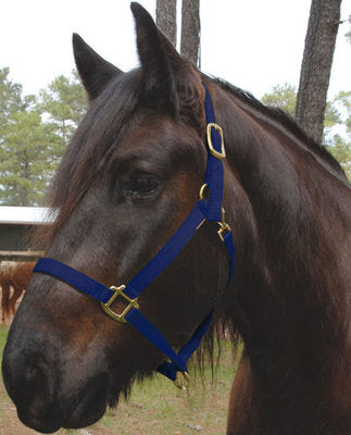 Nylon Draft Halter, Small (1200-1600 lb)