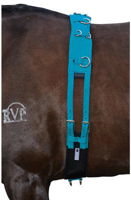 Kincade Brights Deluxe Equigrip Surcingle