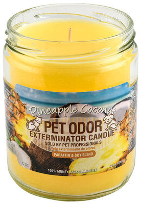 Pet Odor Exterminator Candle, Pineapple Coconut