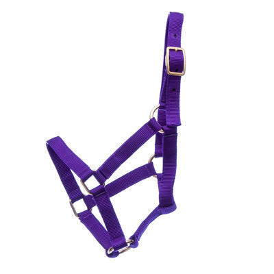 Jeffers Adult Miniature Horse Halter (under 300 lb)