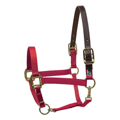 Perri&#39;s Breakaway Halter, Cob size