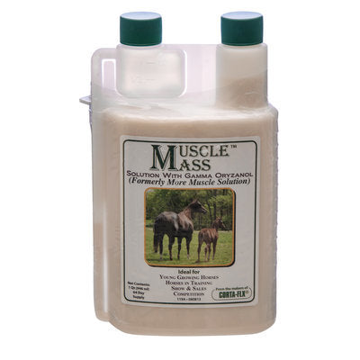 Muscle Mass Solution