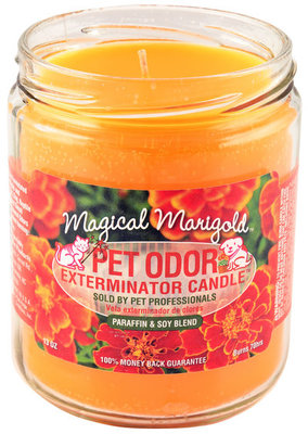 Pet Odor Exterminator Candle, Magical Marigold