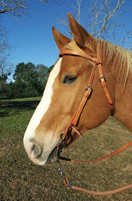Diamond R Argentine Snaffle Bridle