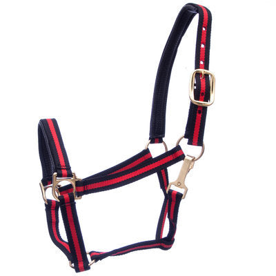 Jeffers Padded Halter with Snap