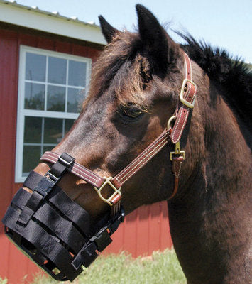 Jeffers Anti-Grazing Muzzle