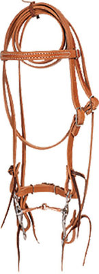 Oxbow Miniature Bridle