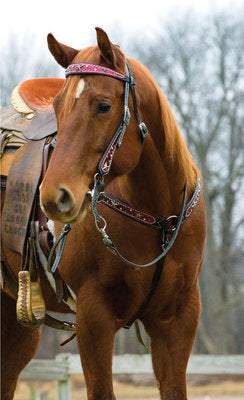 Straight Shooter Tack Collection