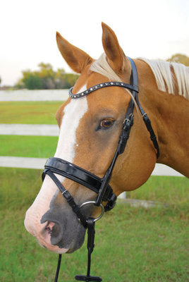 Uniquely English Elegance Dressage Bridle, Black Padding
