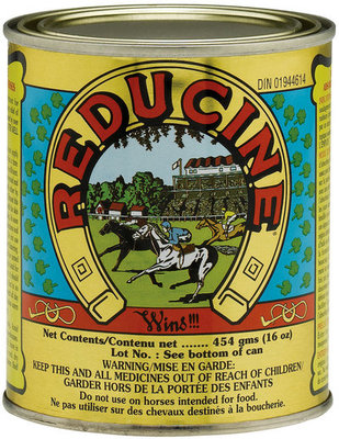 Reducine Absorbent, 16 oz