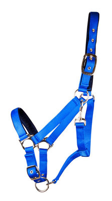 Large Horse Adjustable Halters, (900-1200 lb)
