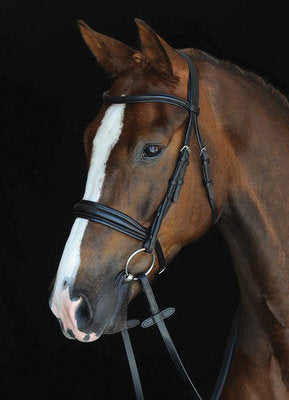 Collegiate Mono Crown Padded Raised Cavesson Bridle