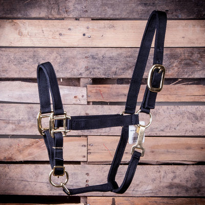 Large Horse Adjustable Halter with Throat Snap