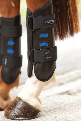 Dalmar Eventer Boots, hind
