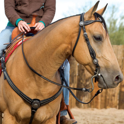 Back in Black Tack Collection