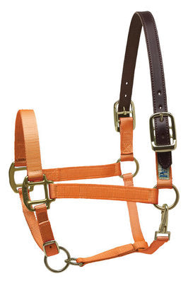 Breakaway Halter, Horse Size