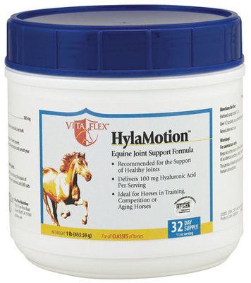 HylaMotionÔö£├ÂÔö£├▒Ôö£Ôöé