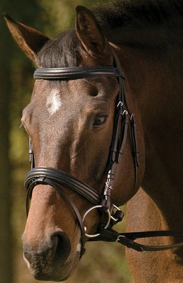 HDR Padded Raised Dressage Bridle