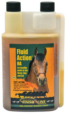 Fluid Action├ö├Â┬╝Ôö¼┬¢ HA