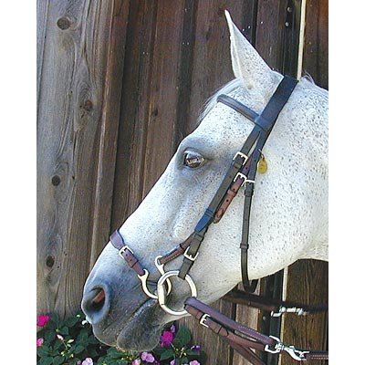 Kineton Noseband