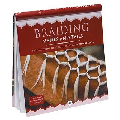 Braiding Manes and Tails