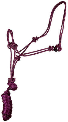 Rope Halter with Lead
