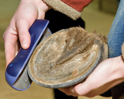 RidersRasp (&amp; Replacement Blades)