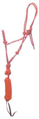 Diamond Braid Roper Halter &amp; Lead