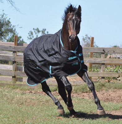 TuffRider Bonum Hi Neck Turnout Blanket, Medium