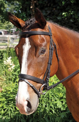 Nunn Finer &amp;quot;Gifted&amp;quot; Dressage Bridle