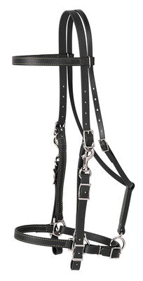 Trail Gear Halter Bridle