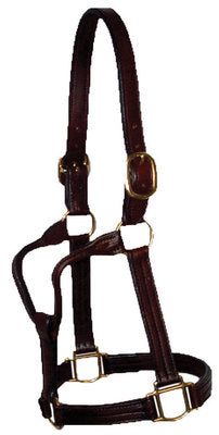 Berlin 1-1/8&quot; Amish Handmade Leather Halter