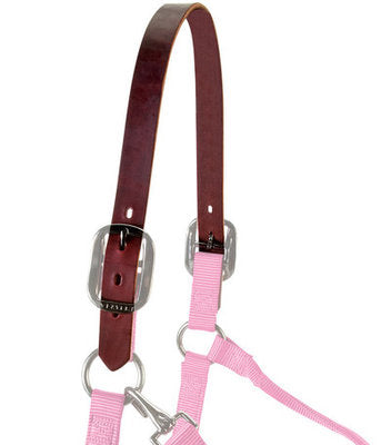 Replacement Crown for Breakaway Halter