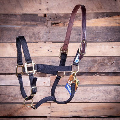 Breakaway Halter, Horse Size