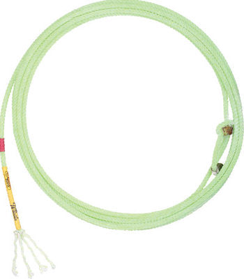 Cactus Saddlery Whistler, 36&#39; 