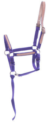 Miniature Breakaway Halter, Large