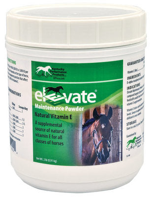 Elevate Maintenance Powder