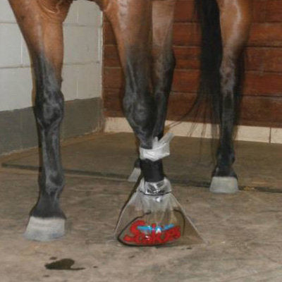 Soakies Hoof Bag