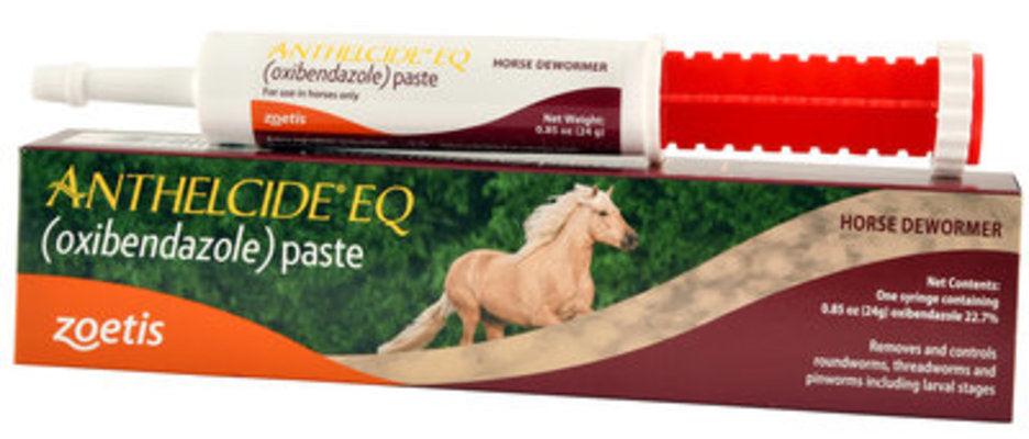 Anthelcide EQ Paste, 1-dose