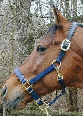 Replacement Comfort Padded Leather Crown