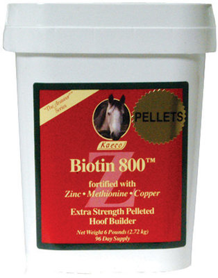 Kaeco Biotin 800 Z Pellets