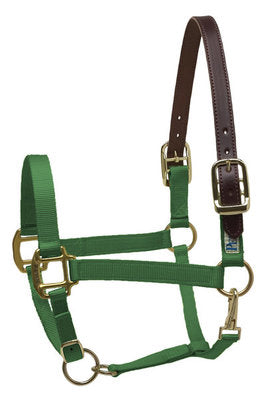 Perri&#39;s Breakaway Halter, Cob size