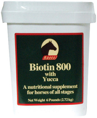 Biotin 800 Powder with Yucca